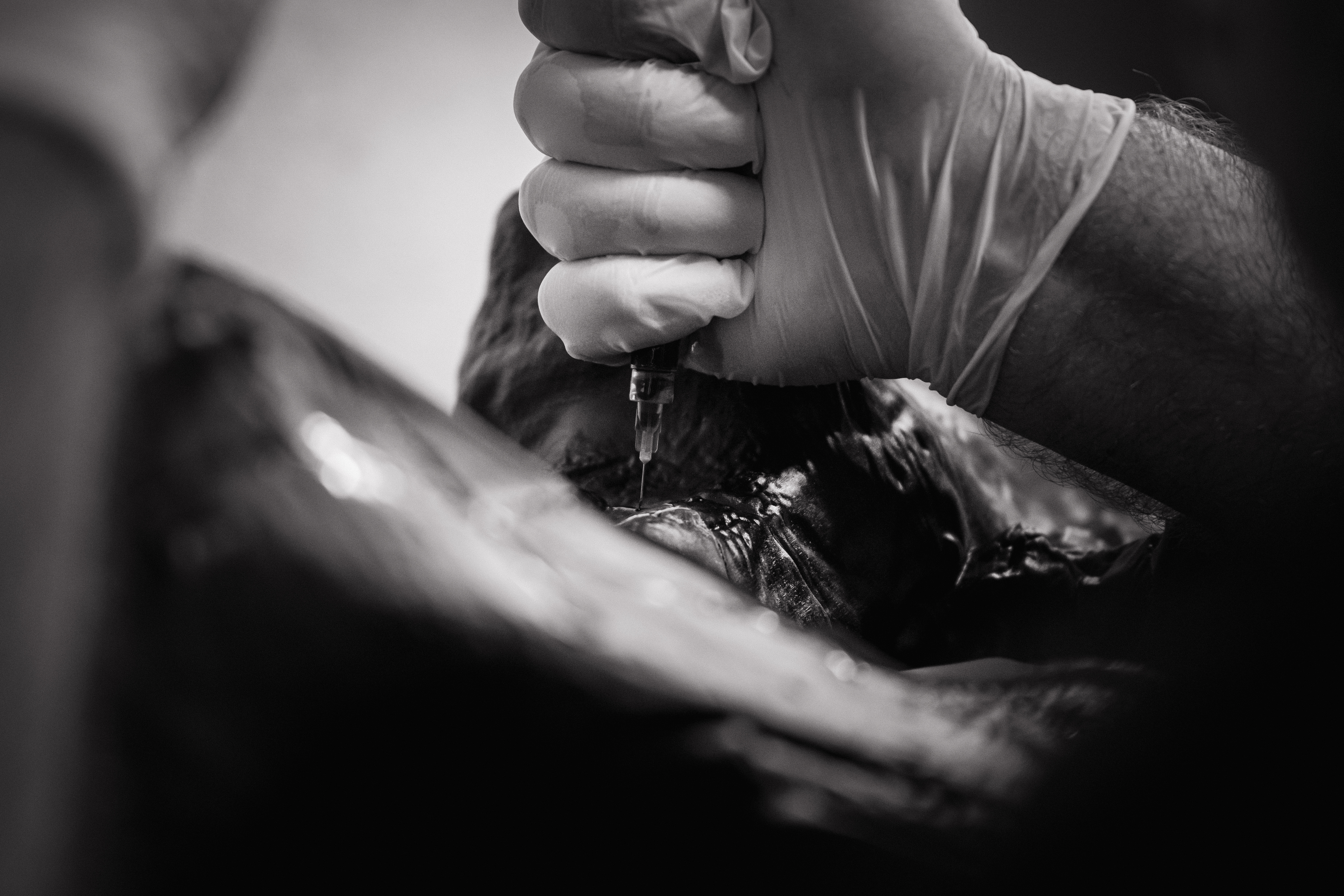 Documentary photograph from the X-Corpus conservation project